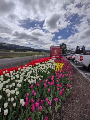 Packer Orchards And Farm Place by null