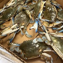 Dip Seafood - Mudbugs - Blue crabs