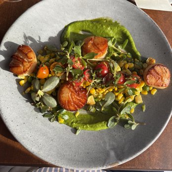 Collina - Scallops - For the knockout punch. I am but a mere mortal and they are the Gods of creation. - Italian Near Me - San Francisco, California