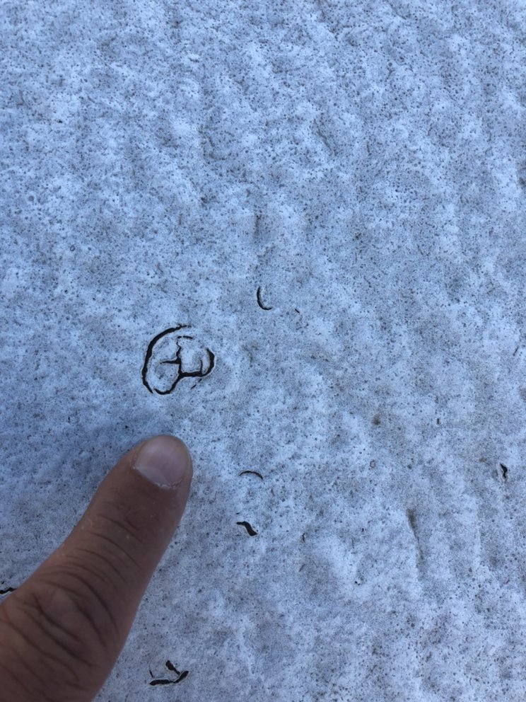 Slide of In-Ex Designs Roofing