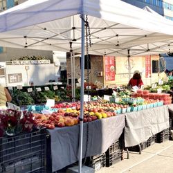 Mt. Sinai Greenmarket - 09/04/24