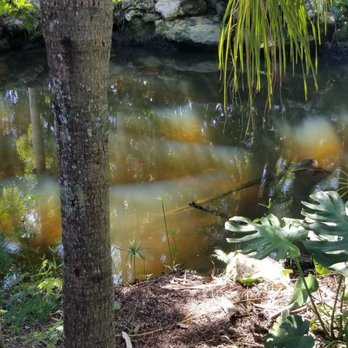 Bamboo And Orchid Gardens - Landscaping Near Me - Davie, Florida Bamboo And Orchid Gardens - Landscaping Near Me - Davie, Florida