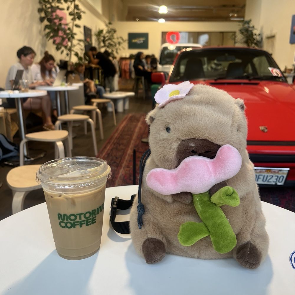Motoring Coffee - Coffee & Tea Near Me - San Francisco, California Motoring Coffee - Coffee & Tea Near Me - San Francisco, California