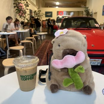 Motoring Coffee - Coffee & Tea Near Me - San Francisco, California Motoring Coffee - Coffee & Tea Near Me - San Francisco, California