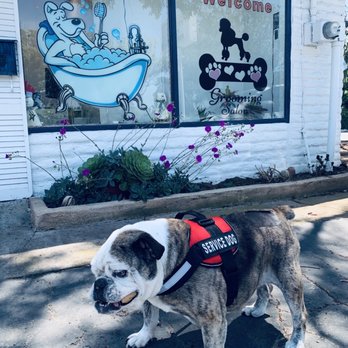 Petite Pet Parlour - Pet Groomers Near Me - San Marcos, California Petite Pet Parlour - Pet Groomers Near Me - San Marcos, California