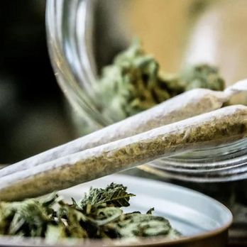 House of Dankness - Cannabis Dispensaries Near Me - Denver, Colorado House of Dankness - Cannabis Dispensaries Near Me - Denver, Colorado