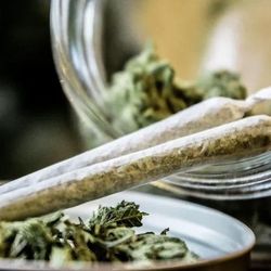 House of Dankness