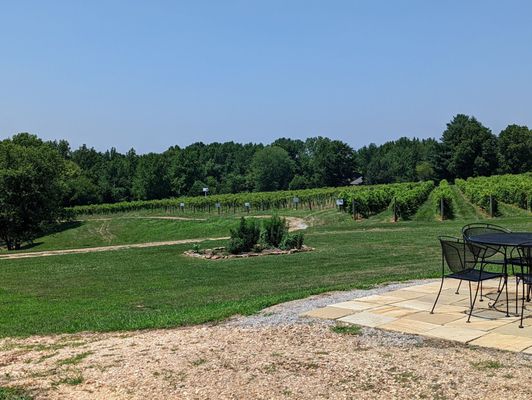 Alto Vineyards by null