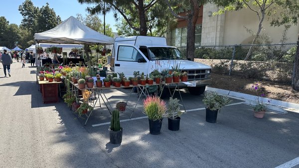 Vista Farmers Market by null