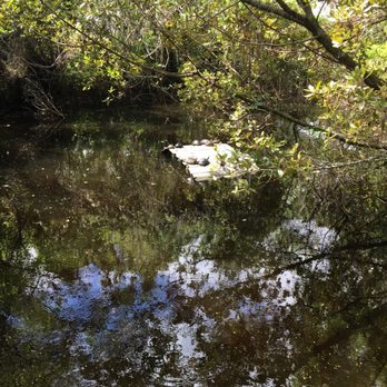 Busch Wildlife Sanctuary - Zoos Near Me - Jupiter, Florida Busch Wildlife Sanctuary - Zoos Near Me - Jupiter, Florida