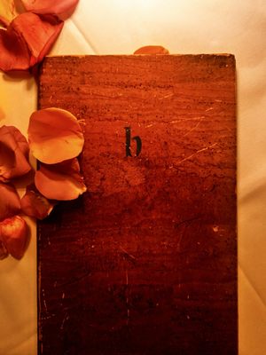 bouchon Santa Barbara by null