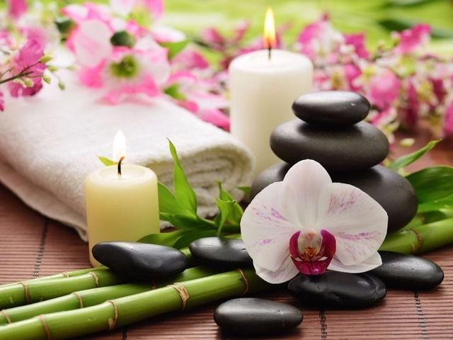 HealingBio Spa - Asian massage spa Logo