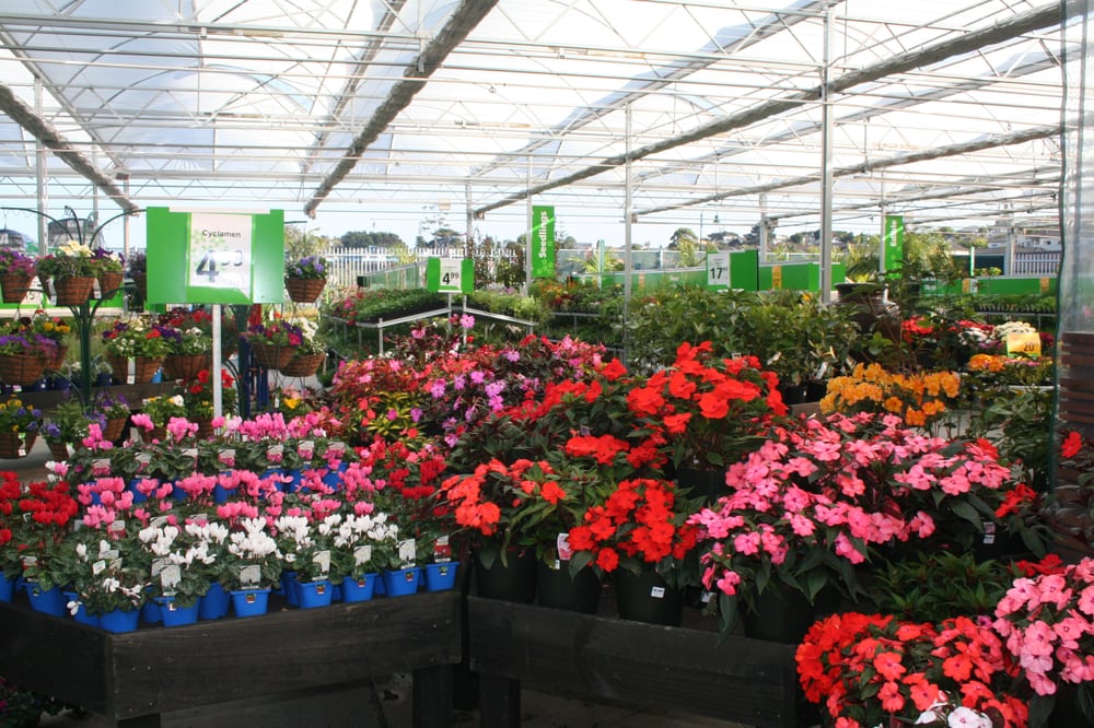 PALMERS Updated September 2024 Cnr Greville Road & Hugh