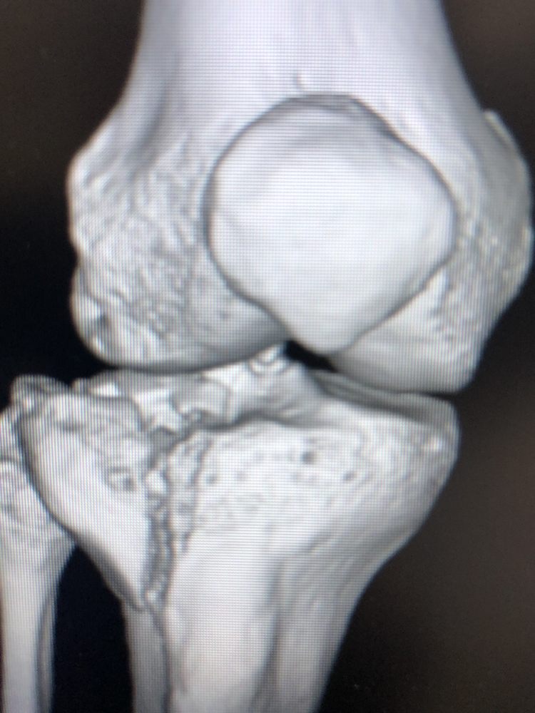 TERENCE DELANEY, MD 54 Photos & 43 Reviews 14911 National Ave, Los