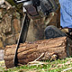 Ashe Tree Service