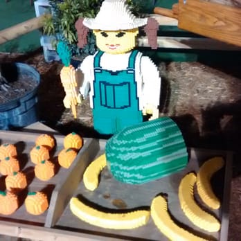 Florida State Fairgrounds  - Legos - Festivals Near Me - Tampa, Florida