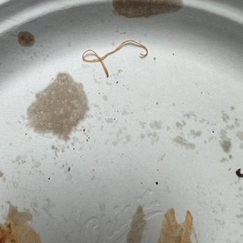 Mountain Mike's Pizza - Cooked rubber band - Pizza Near Me - Sacramento, California Mountain Mike's Pizza - Cooked rubber band - Pizza Near Me - Sacramento, California