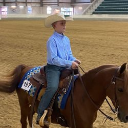 Crystal Creek Farm - Horse