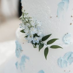 Pacific Patisserie - Our Wedding Cake close details