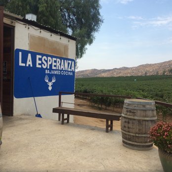 La Esperanza - Entry view - Mediterranean Near Me - Asufre, BCN