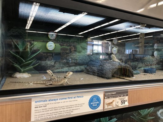 Petco