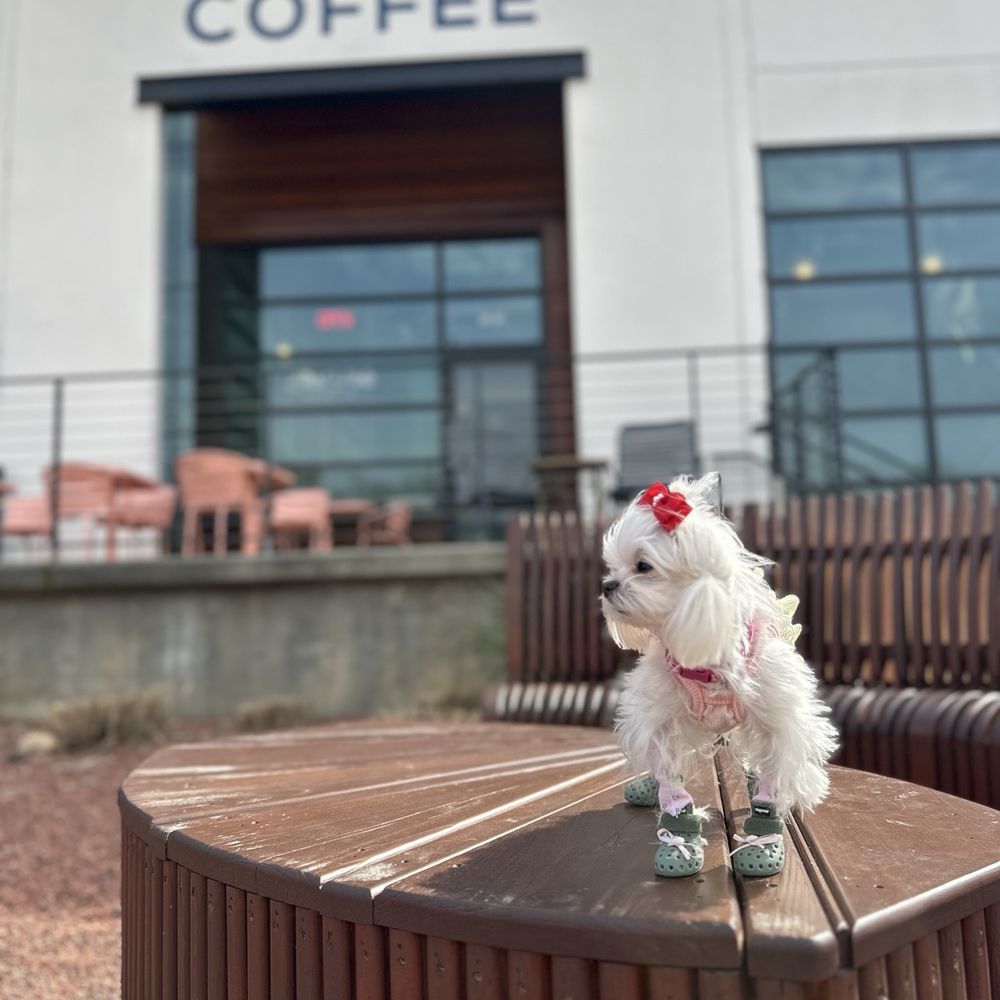 East Pole - Coffee Roasteries Near Me - Atlanta, Georgia East Pole - Coffee Roasteries Near Me - Atlanta, Georgia