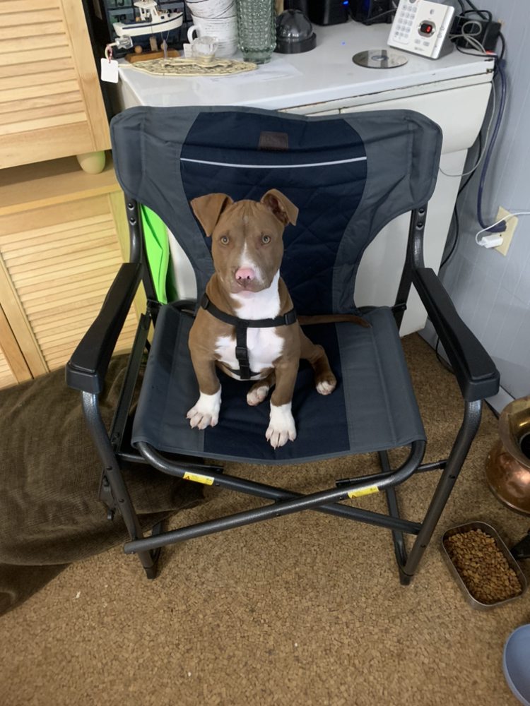 AUNTIE Q’S Updated May 2024 2091 Hwy 136, Trenton, Thrift