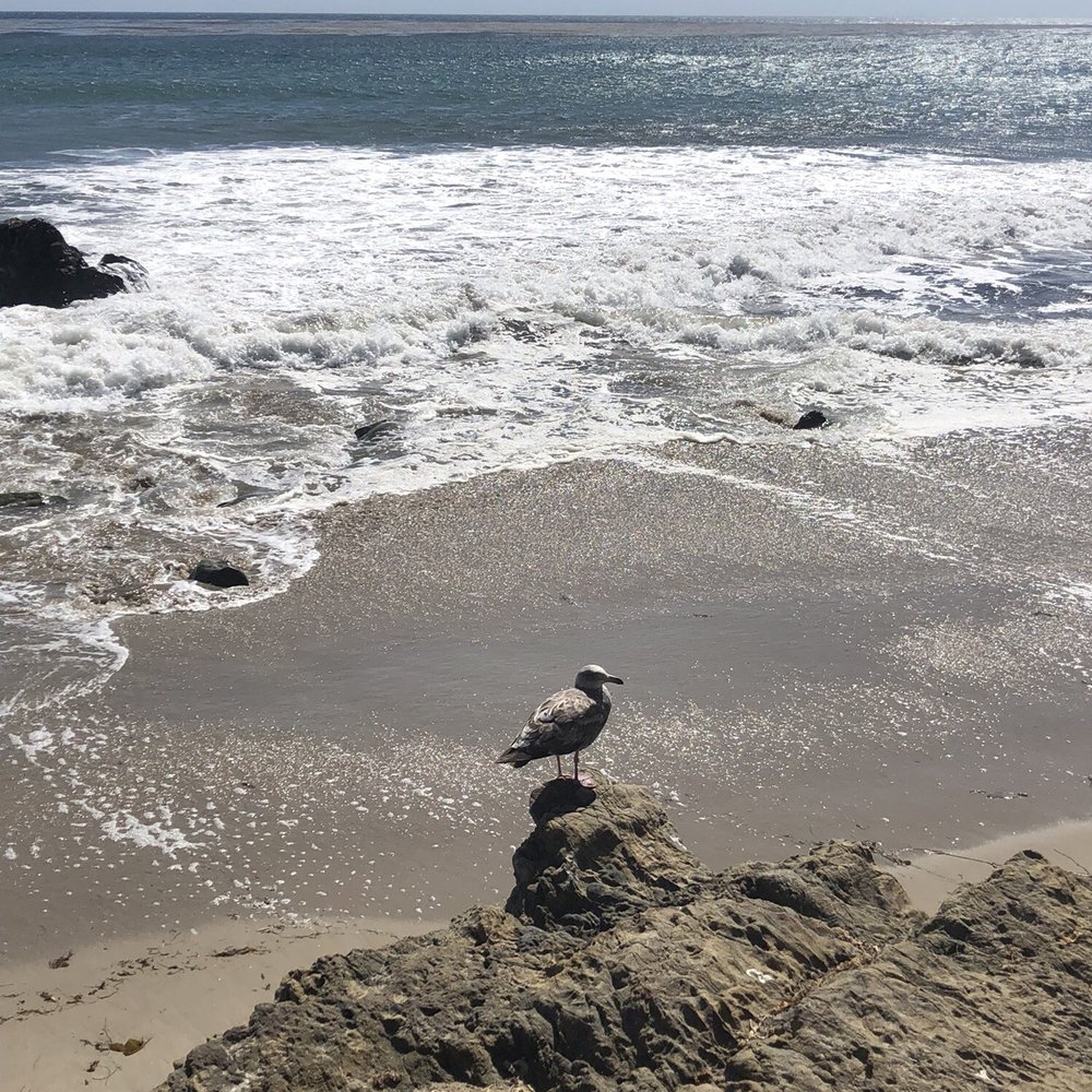 Nicholas Canyon Beach - Beaches Near Me - Malibu, California Nicholas Canyon Beach - Beaches Near Me - Malibu, California