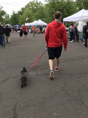 Lansdale Farmers' Market - outdoor market by null