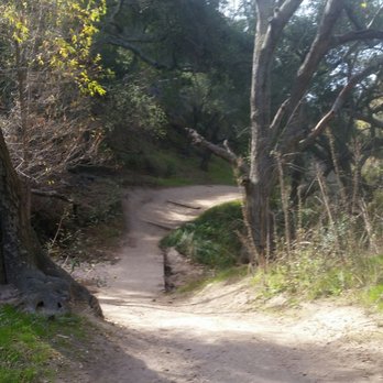 Whiting Ranch Wilderness Park - Borrego trail - Parks Near Me - Foothill Ranch, California Whiting Ranch Wilderness Park - Borrego trail - Parks Near Me - Foothill Ranch, California
