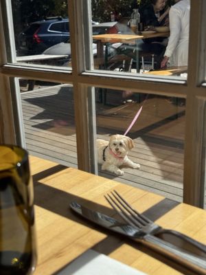 The Alna Store by null