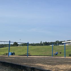 Lemansky Park - Lots of swings!