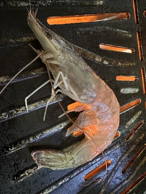 Chas Market and Kitchen by null