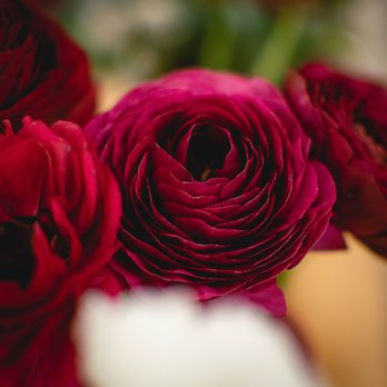 Human Interaction - floral by the stem - Women's Clothing Near Me - Norman, Oklahoma