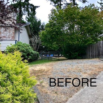 Tony's Landscaping - Driveway - before - Tree Services Near Me Tony's Landscaping - Driveway - before - Tree Services Near Me