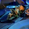 The Wreck Bar gift card