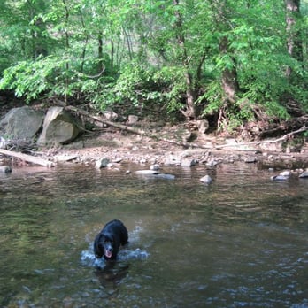 Glencarlyn Dog Park - Dog Parks Near Me - Arlington, Virginia Glencarlyn Dog Park - Dog Parks Near Me - Arlington, Virginia