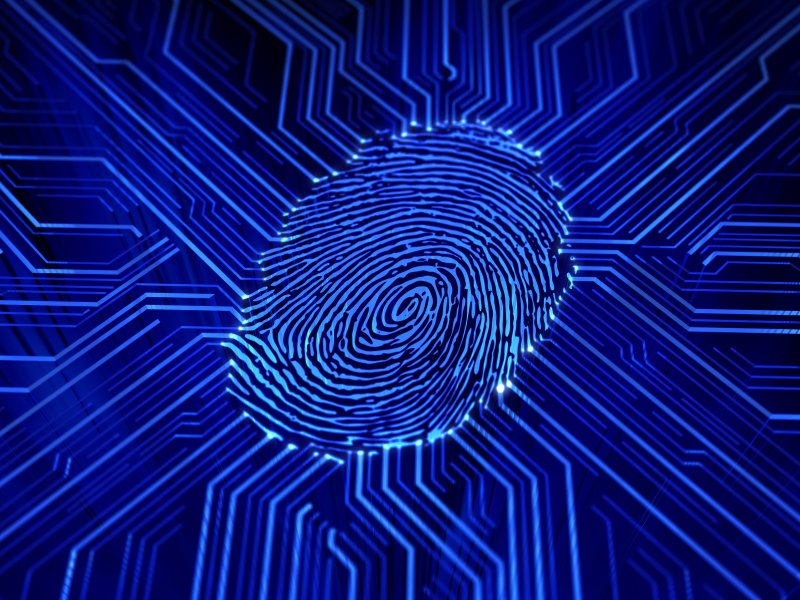 BIOMETRICS IDENTITY VERIFICATION SYSTEM Updated October 2024 5010