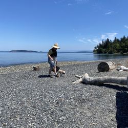 North Beach Outlook