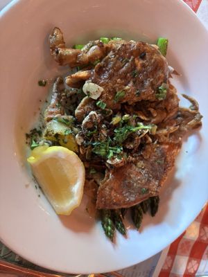 Buck's Fishing & Camping by null Buck's Fishing & Camping by null