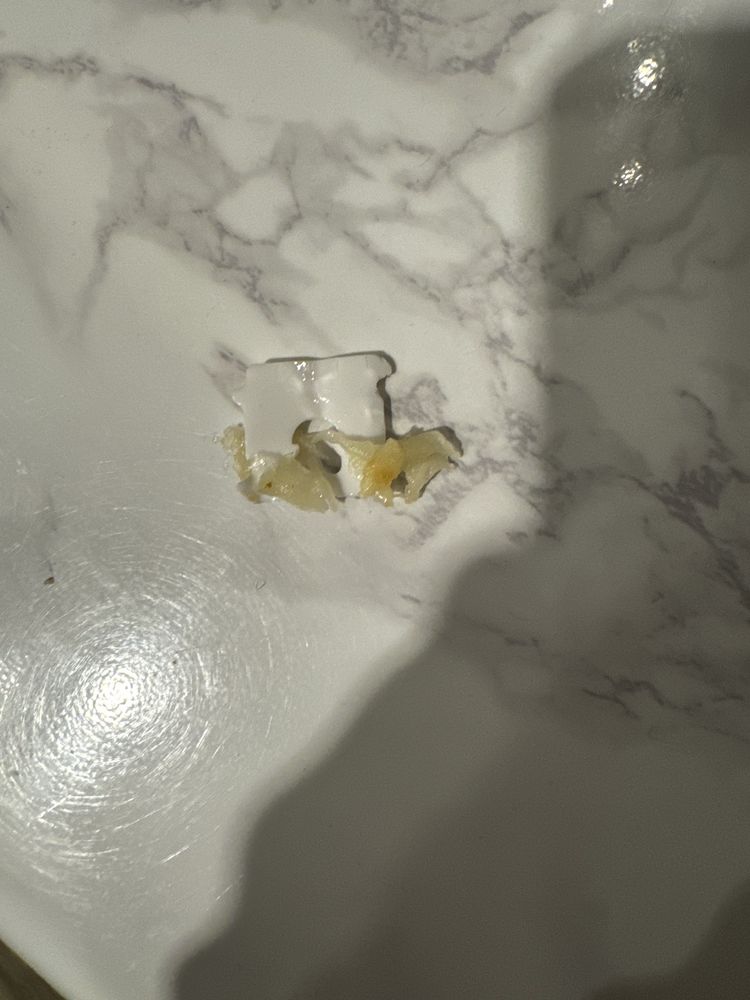 BACKYARD TACO Updated August 2024 385 Photos & 922 Reviews 1420 S