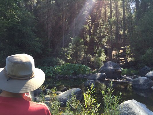 Camp Wawona by null