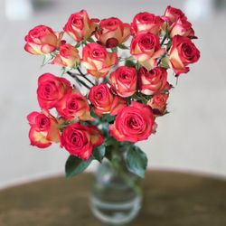 Publix Super Markets - Cute Mini Roses