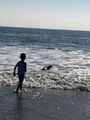 Coronado Dog Beach by null