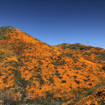 Walker Canyon Ecological Reserve - Wildlife Hunting Ranges Near Me