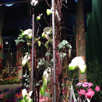 Grüne Woche - Beautiful manmade garden inside. - Trade Fairs Near Me - Berlin, BE