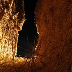 Johnstown Straw Maze - Haunted Straw Maze