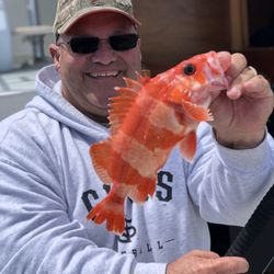 Four Reel Sportfishing