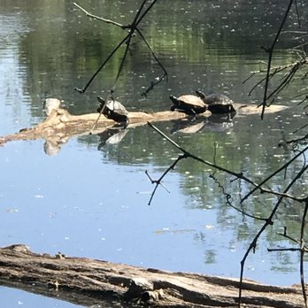 Lodi Lake Tours - Boat Tours Near Me - Lodi, California