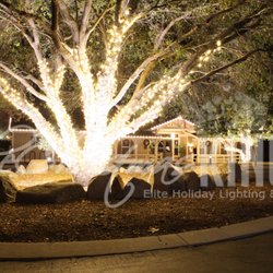 Tree wrapping and perimeter lighting.